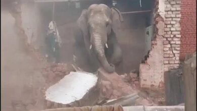 image 2025 06 15T115633.554