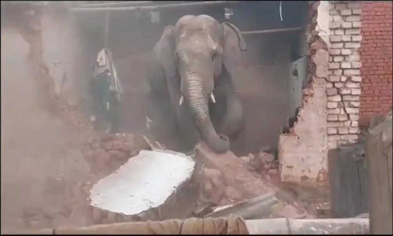 image 2025 06 15T115633.554