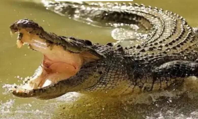 image 2025 06 17T101046.252