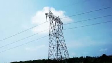 image 2025 06 17T122027.661