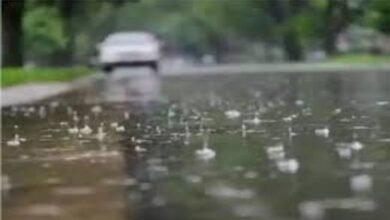 यूपी में फिर आफत की बारिश का कहर, 24 घंटे में 35 की मौत 5 image 2025 06 17T123406.231