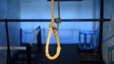 ईरान में जासूसी के आरोप में फांसी पर चढ़ाए गए तीन और लोग, मोसाद से जुड़े होने का दावा 5 image 2025 06 25T112515.912