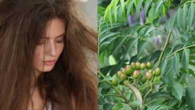 गिरते बालों से हैं परेशान? आंवला-करी पत्ता है वरदान
