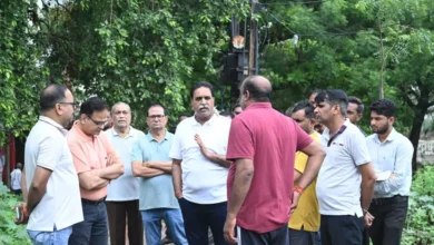 4715135 untitled 23 copy