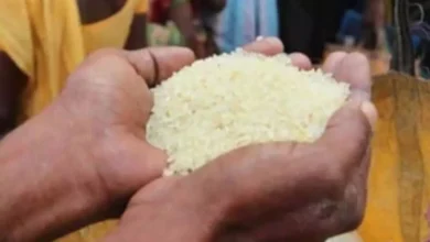 4720228 untitled 34 copy