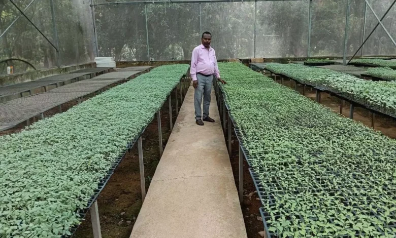 4725872 untitled 38 copy