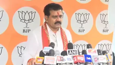 4740720 untitled 36 copy