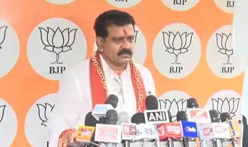 4740720 untitled 36 copy