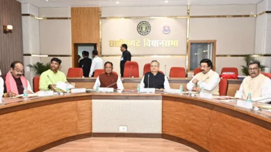 4747430 untitled 25 copy