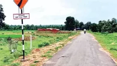 4747545 untitled 28 copy