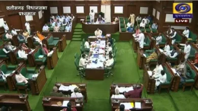 4749878 untitled 22 copy