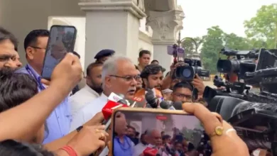 4761843 untitled 48 copy