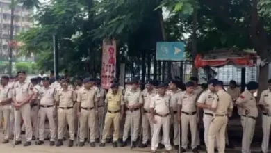 4765428 untitled 33 copy