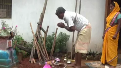 4768192 untitled 37 copy