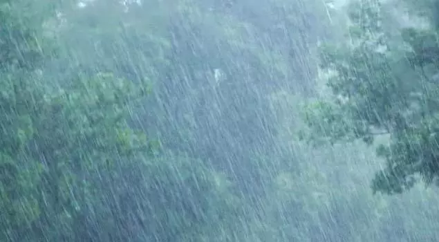 4772841 minieter copy