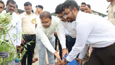 4775465 untitled 30 copy