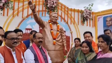 4777903 untitled 43 copy