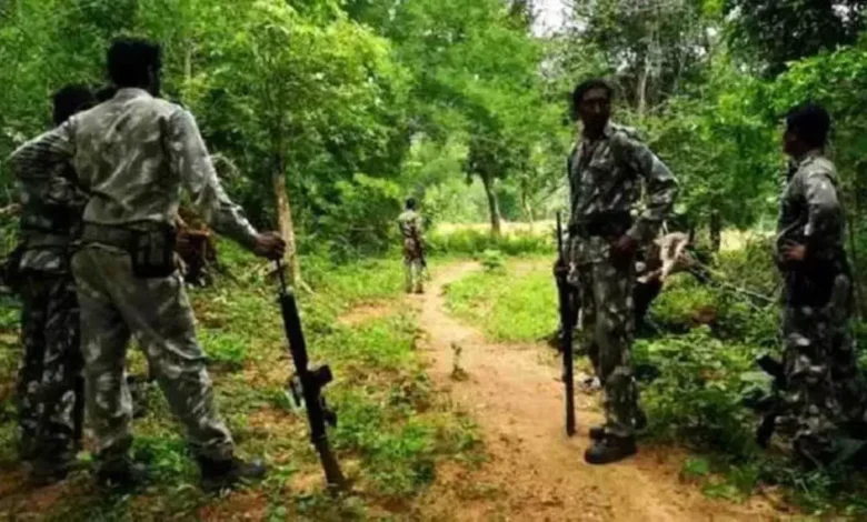 4781314 untitled 22 copy