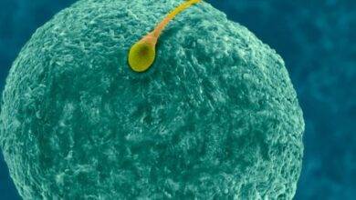 Birth control pill information : अब पुरुषों के पास भी गर्भनिरोधक गोली का विकल्प 1 Birth control pill information