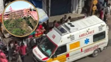 befunky 2025 6 0 10 44 27