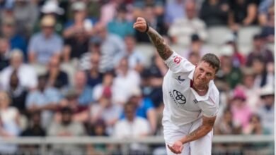 befunky 2025 6 0 11 18 29