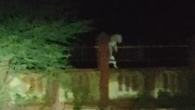 edec85e3 3291 4441 ae3c f4b0da3aa655 1751391234495