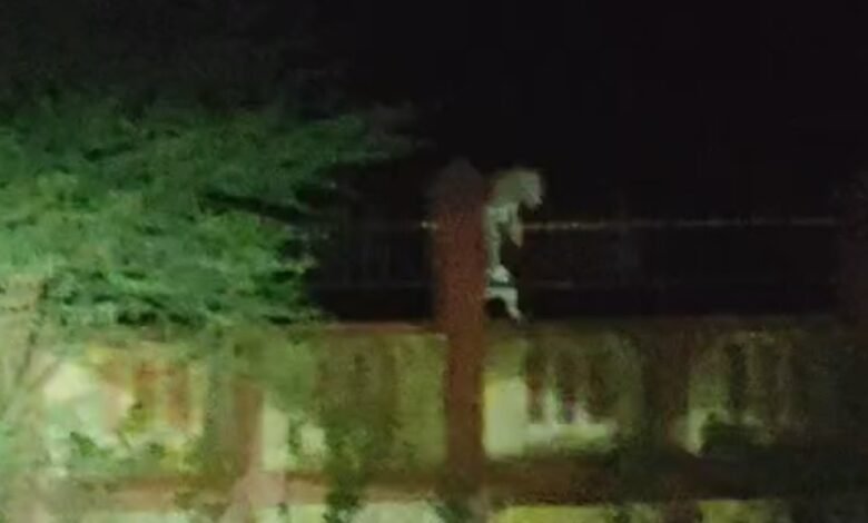 edec85e3 3291 4441 ae3c f4b0da3aa655 1751391234495