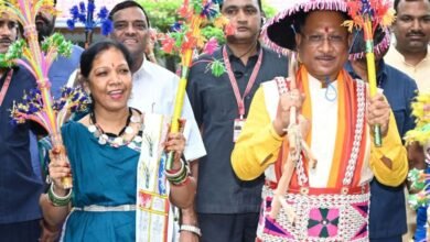 Hareli Tihar Vishnu Dev Sai at CM House