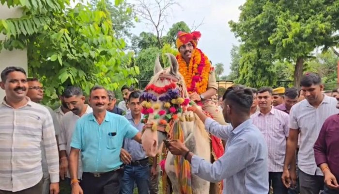 नागौर