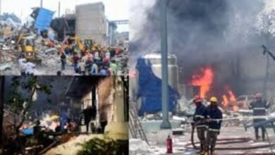 image 2025 07 01T110027.979