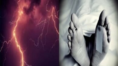 image 2025 07 20T131953.359