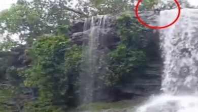 धसगुड़ जलप्रपात हादसा, बलौदाबाजार युवक गिरा, रील बनाते समय हादसा,Dhasgud waterfall accident, Balodabazar youth fell, Accident while making reel, Fell from 40 feet height, Nikhil Sahu accident, 40 फीट ऊंचाई से गिरा , निखिल साहू दुर्घटना,