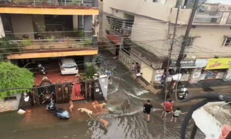 छत्तीसगढ़ में बारिश का कहर: 14 जिलों में यलो अलर्ट 1 image 2025 07 27T090838.348