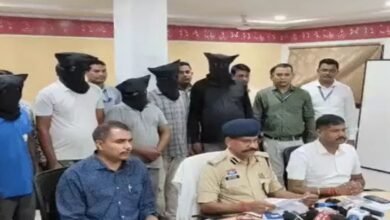 साइबर ठगी, सोनिया हंसपाल, Cyber fraud, Sonia Hanspal, Raipur fraud case, WhatsApp video call fraud, Cambodia money laundering, Fake companies, रायपुर ठगी मामला, वाट्सएप वीडियो कॉल फ्रॉड, कंबोडिया मनी लॉन्ड्रिंग, फर्जी कंपनियां,