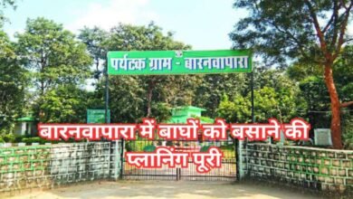 image 2025 07 29T080620.830