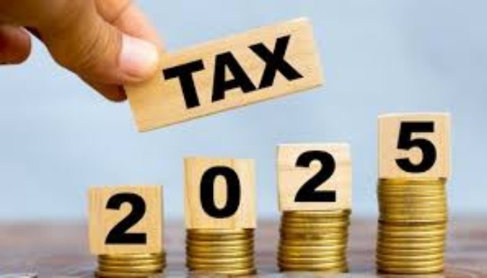 ITR 2025: इनकम टैक्स रिटर्न भरने से पहले जान लें इनकम के ये 5 स्रोत, गलती पड़ी महंगी तो देना पड़ सकता है जुर्माना 1 ITR
