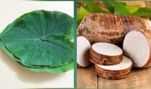 mpbreaking01909663 e1660059256142