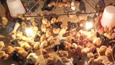 4803226 untitled 14 copy