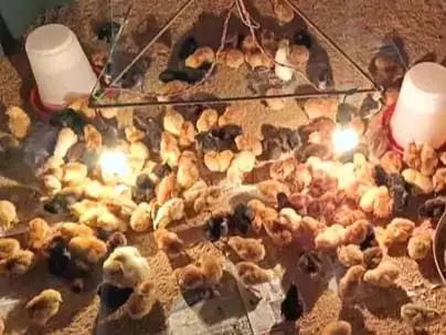 4803226 untitled 14 copy