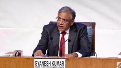 befunky 2025 7 0 16 7 45