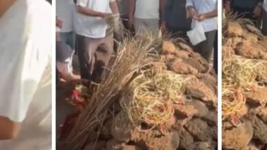 निक्की मर्डर केस: अंतिम संस्कार के वीडियो से नया खुलासा, पिता-भाई नहीं बल्कि किसी और ने दी मुखाग्नि 10 befunky 2025 7 2 13 54 5