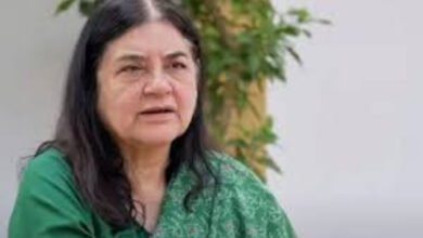 मेनका गांधी ने सुप्रीम कोर्ट के आदेश पर जताई आपत्ति, पेरिस के 1880 के हादसे का दिया उदाहरण 5 मेनका गांधी
