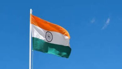 गोवा 15 अगस्त नहीं, 19 दिसंबर को मनाता है आजादी का जश्न, जानिए वजह 4 गोवा