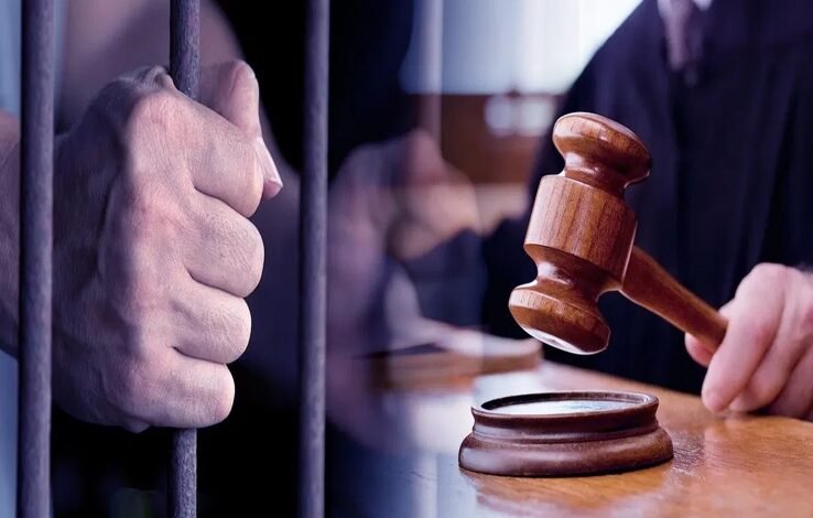 रायपुर लूटकांड, मॉर्निंग वॉक हमला, गुढ़ियारी थाना क्षेत्र, Raipur robbery, Morning walk attack, Gudhiyari police station area, Life imprisonment sentence, Mobile robbery, Knife attack, उम्रकैद की सजा, मोबाइल लूट , चाकू से हमला,