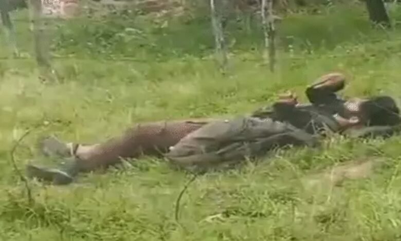 image 2025 08 09T094011.667