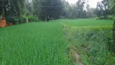 image 2025 08 25T095933.851