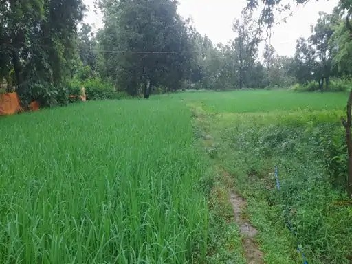 image 2025 08 25T095933.851