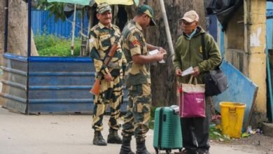 befunky 2025 8 2 10 33 5