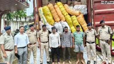 download 13 1