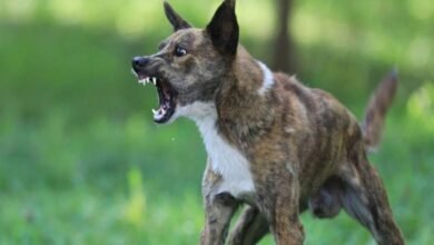 image 2025 09 01T101836.081